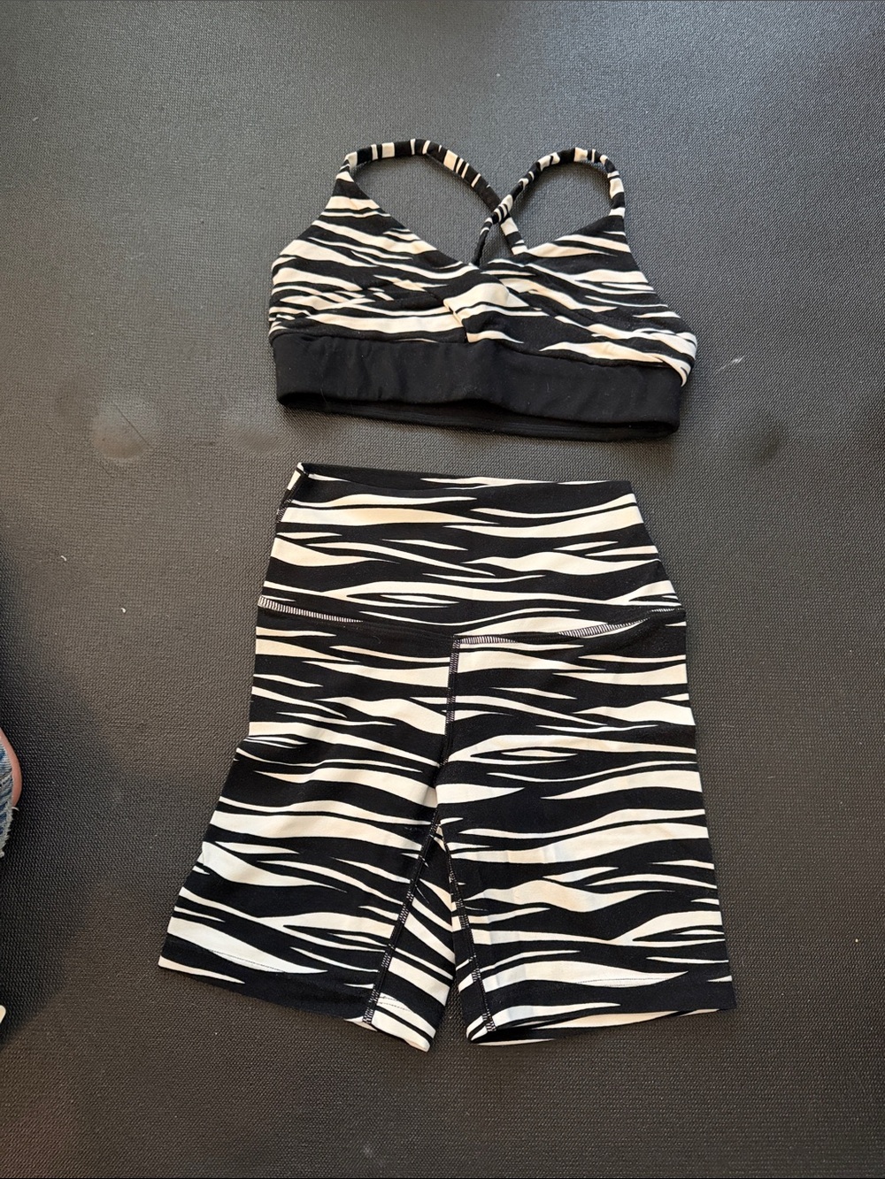 Splits59 Black and White Zebra Active Set size small